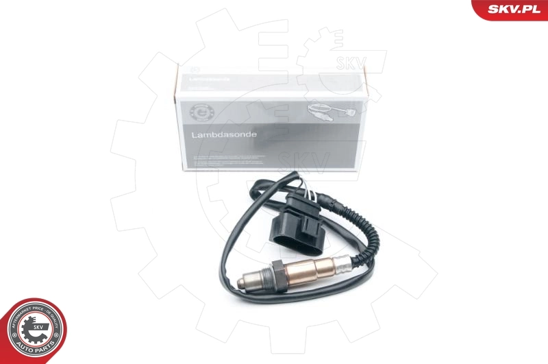 Oxygen Sensor